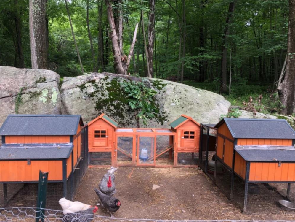 PawHut 124 Double Coop Wooden Large Coop Rabbit Hut Hen Cage Backyard with Outdoor Ramp and Nesting Box